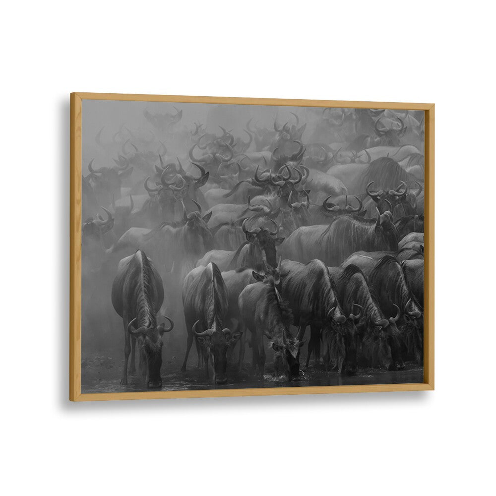 PHOTOGRAPHY painting - THE GREAT MIGRATION BY HENRY ZHAO by Asianmonk