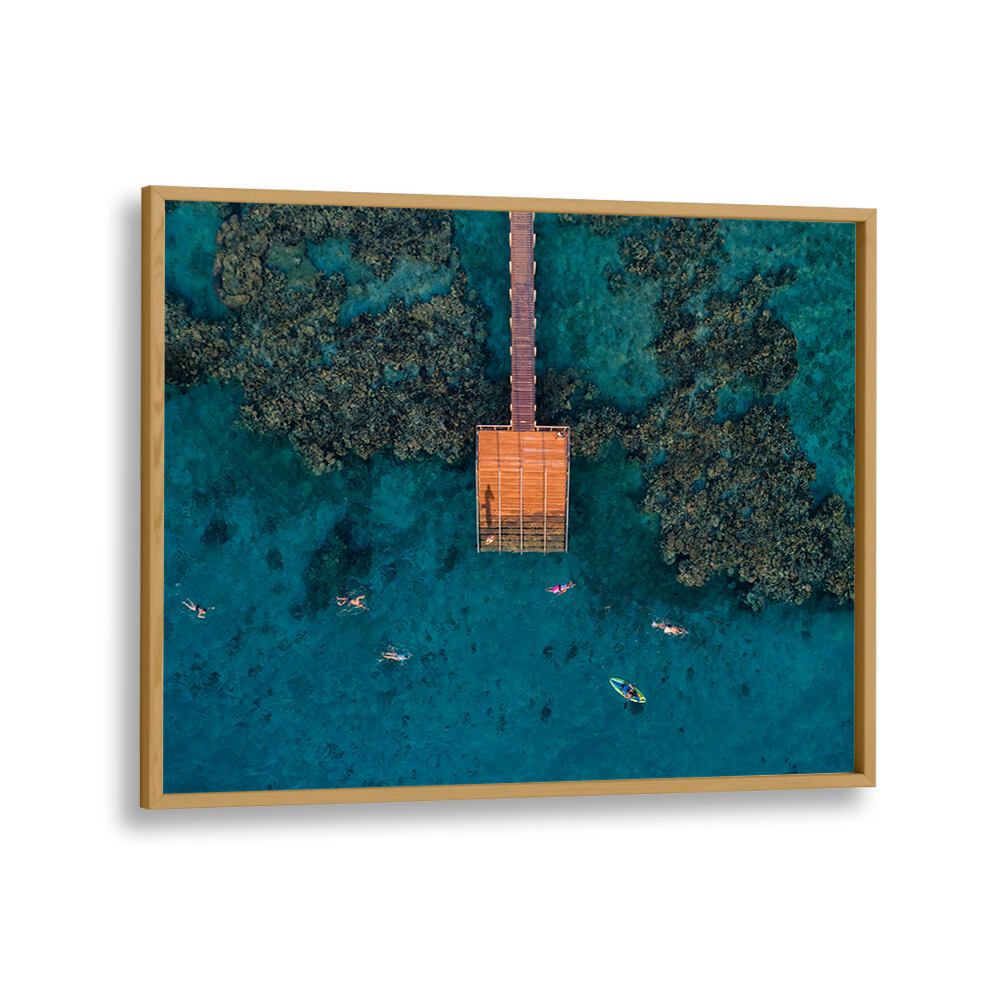 PHOTOGRAPHY painting - CORAL ESCAPE BY IDO MEIROVICH by Asianmonk