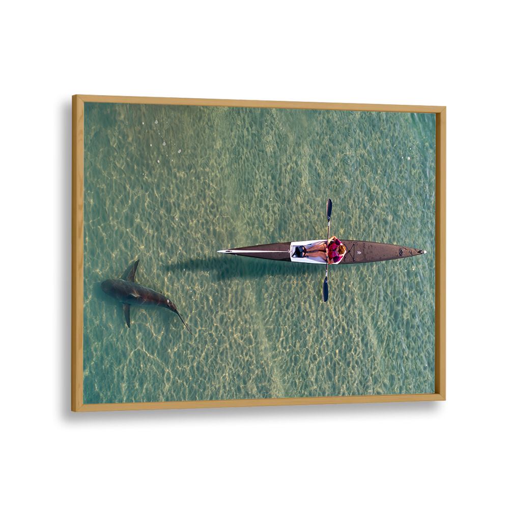 PHOTOGRAPHY painting - SHARK KAYAKING BY IDO MEIROVICH by Asianmonk