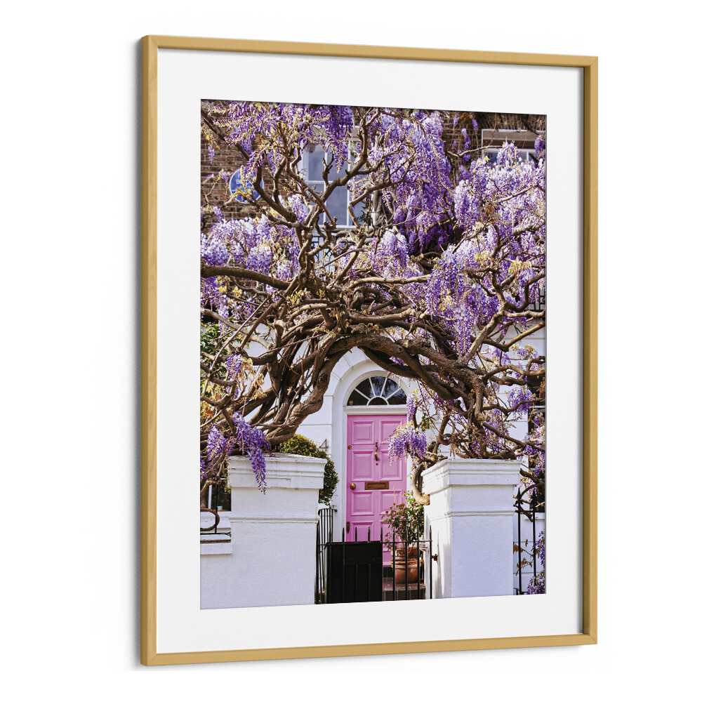 WISTERIA DREAMS BY GABOR ESTEFAN, STREET PHOTOGRAPHY ART PRINTS