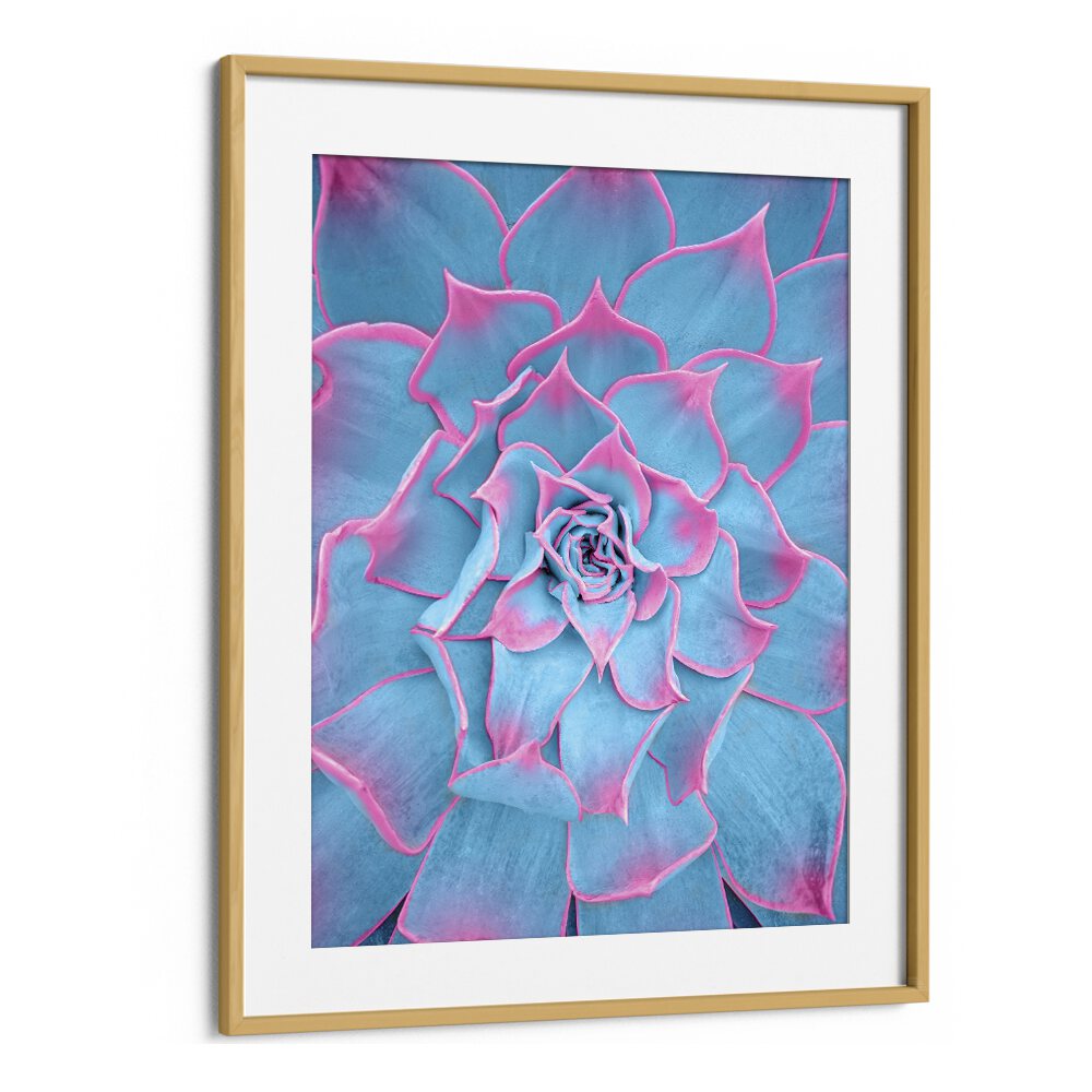 surreal painting - BLUE AND PINK SUCCULENT by Asianmonk