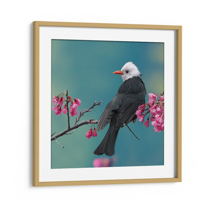 surreal painting - WHITE-HEADED BLACK BULBUL by Asianmonk