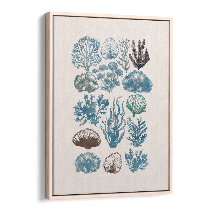 A Coral Collection, beach paintings featuring vibrant marine life, perfect for coastal decor enthusiasts.