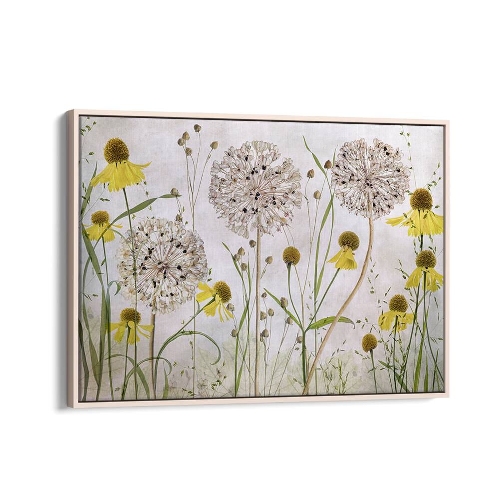 Vibrant ALLIUMS AND HELENIUMS, FLORAL FLOWER PAINTINGS showcasing stunning textures and colors for your decor.