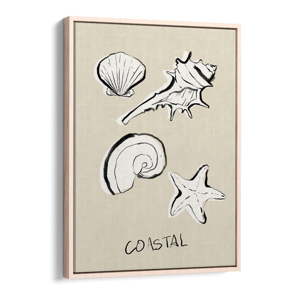 COASTAL SHELLS AND STARFISH