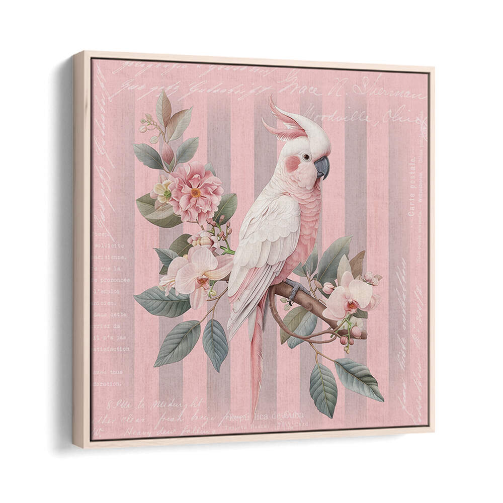 COCKATOO PASTEL PINK , ANIMAL PAINTINGS