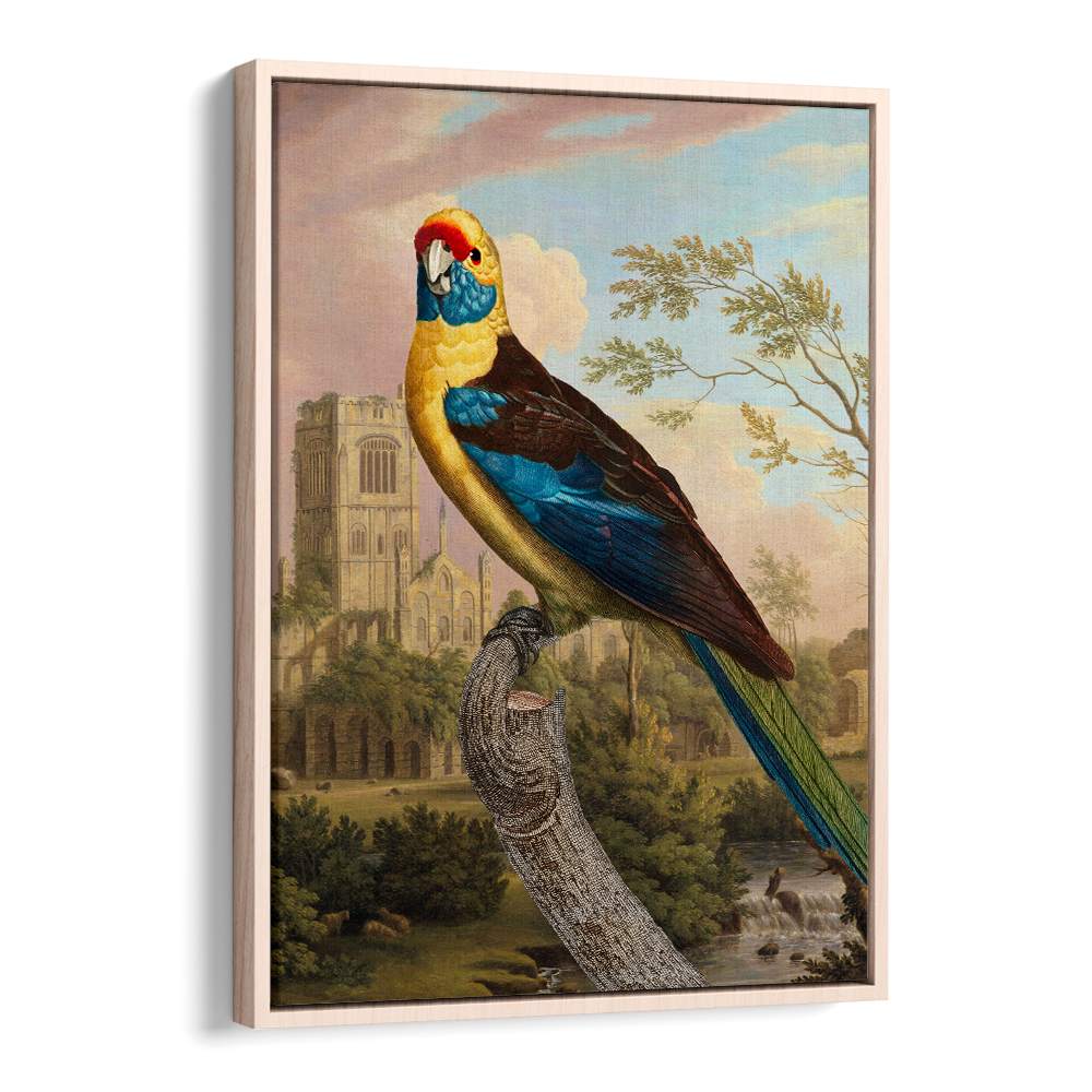 COLORFUL PARROT RUINS