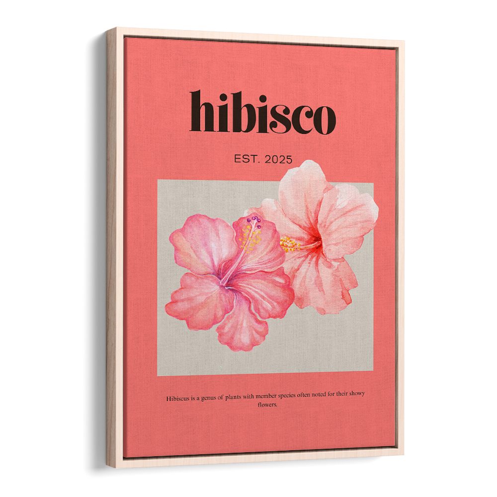 DELICATE PINK HIBISCUS