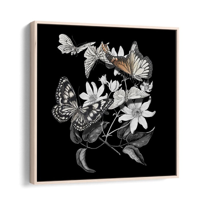 ELEGANT BOTANICAL BUTTERFLIES