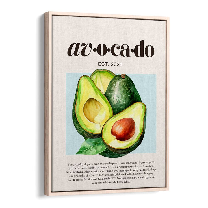 FRESH RIPE AVOCADOS