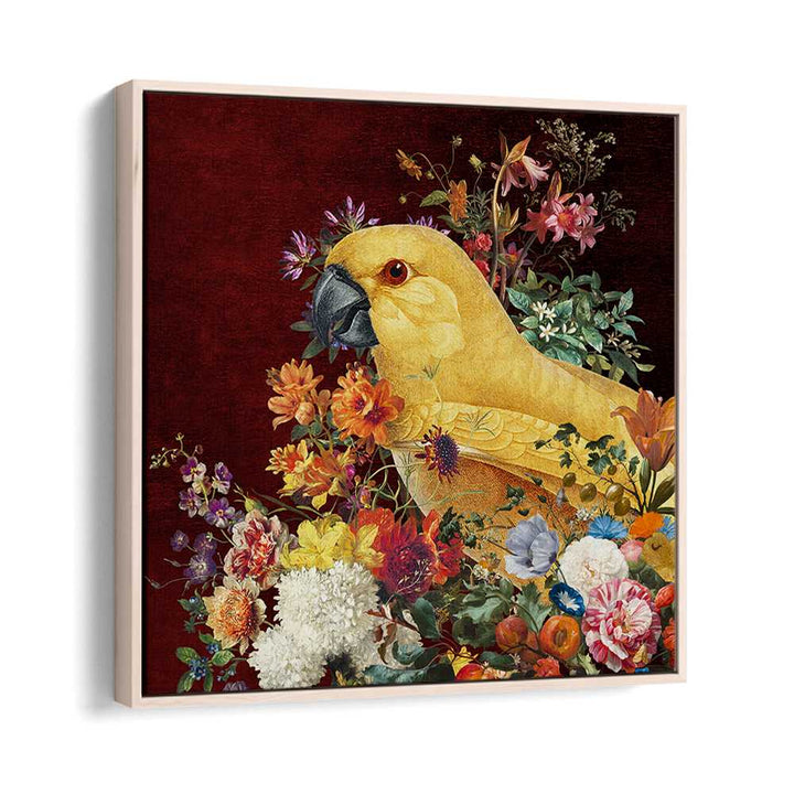GOLDEN PARROT BLOOM