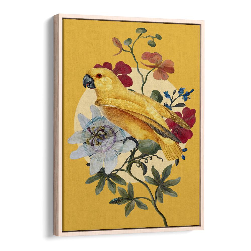 GOLDEN PARROT PASSION FLOWER