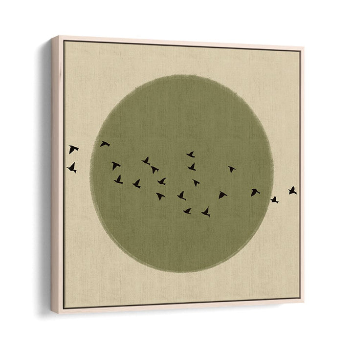 GRACEFUL BIRDS SOARING
