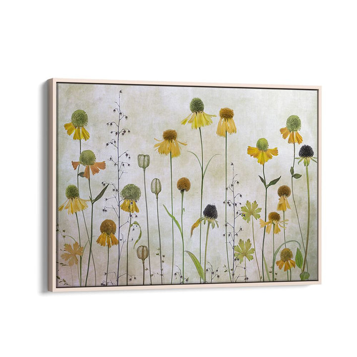 Stunning HELENIUM, FLORAL FLOWER PAINTINGS featuring vibrant yellow blooms, perfect for enhancing your home decor.