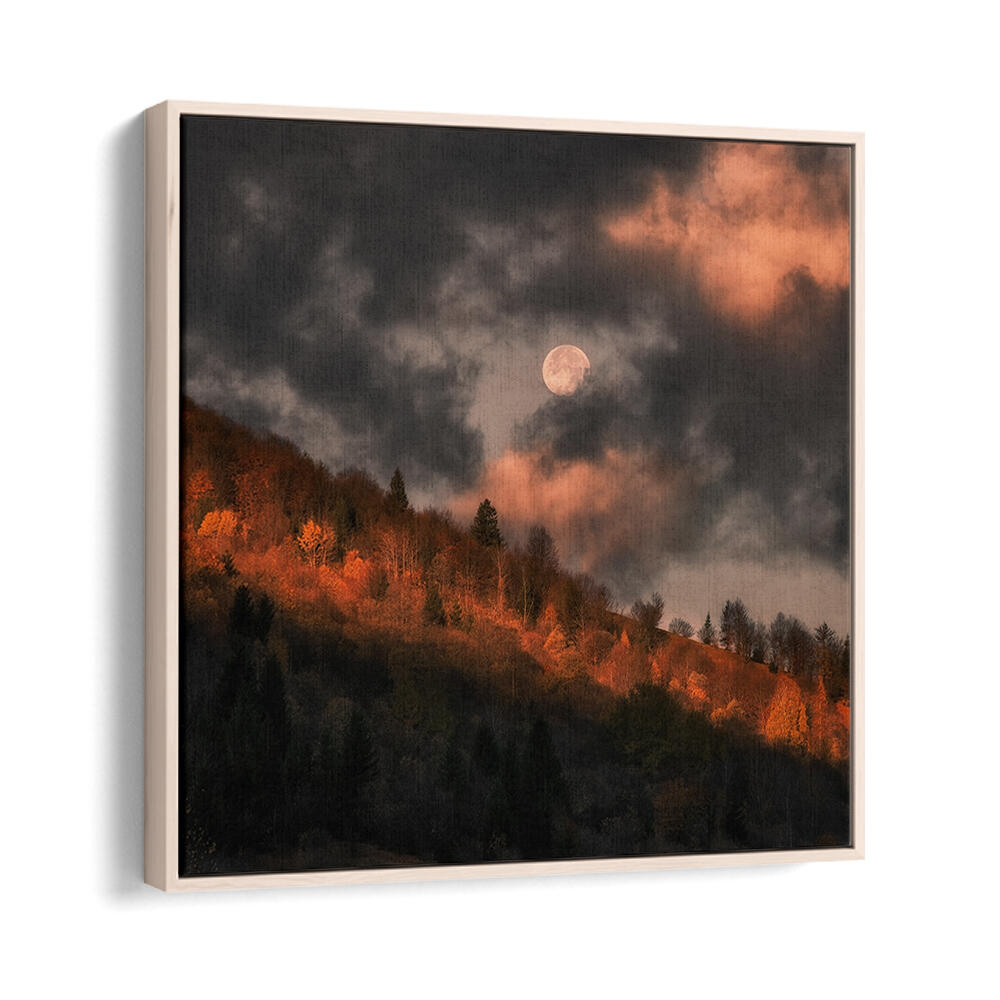 MOON DOESN'T WANT TO GO