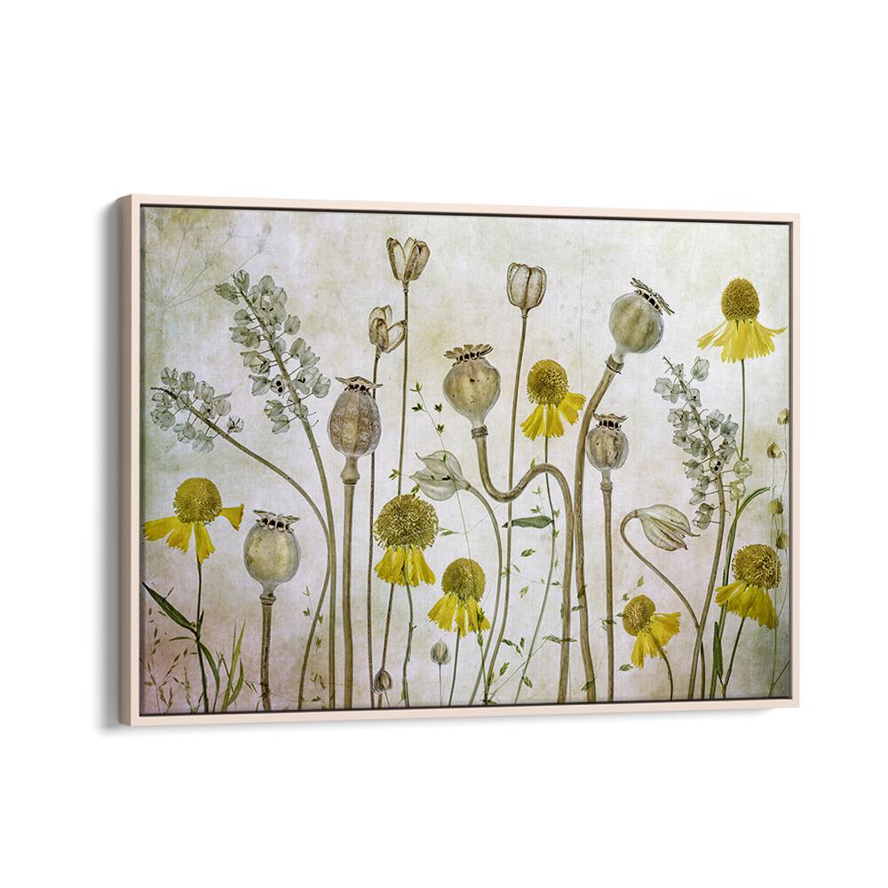 Vibrant POPPIES AND HELENIUM, FLORAL FLOWER PAINTINGS for a stunning home decor transformation. Perfect for any space.