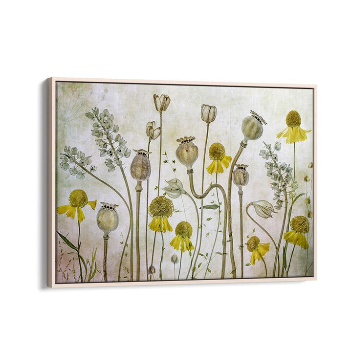 Vibrant POPPIES AND HELENIUM, FLORAL FLOWER PAINTINGS for a stunning home decor transformation. Perfect for any space.