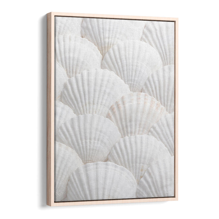 SHELLS III, BEACH PAINTINGS showcase serene white shells, perfect for enhancing your coastal-inspired decor.