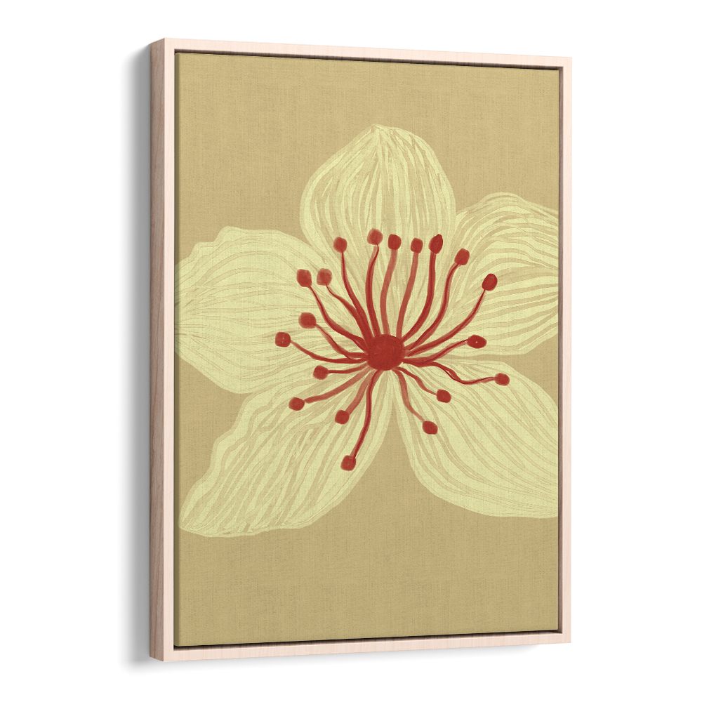SOFT CREAM BLOSSOM