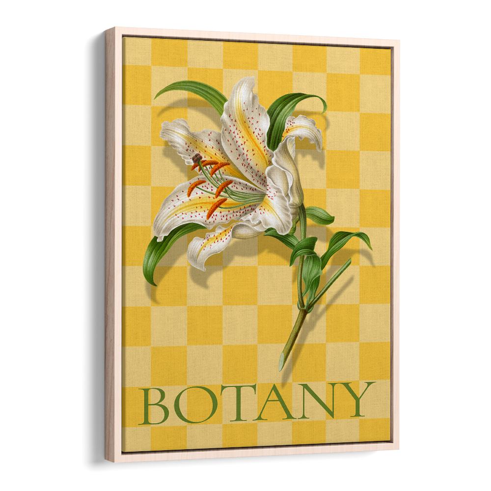 SPOTTED LILY BOTANICAL