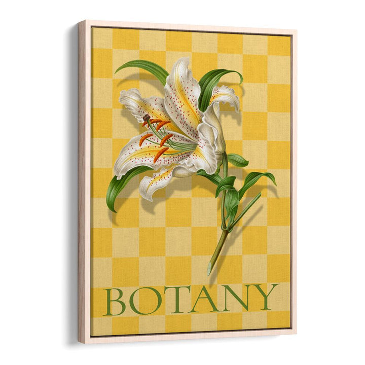 SPOTTED LILY BOTANICAL
