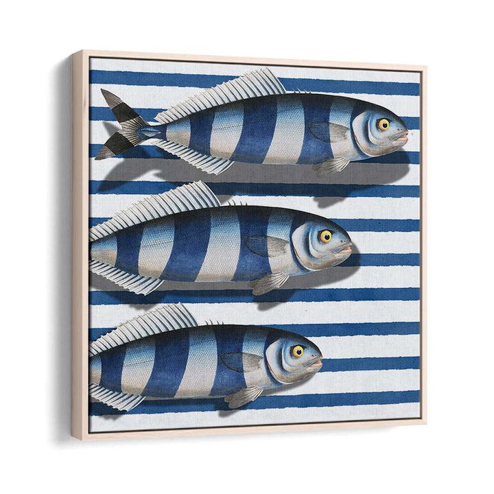 STRIPED OCEAN FISH