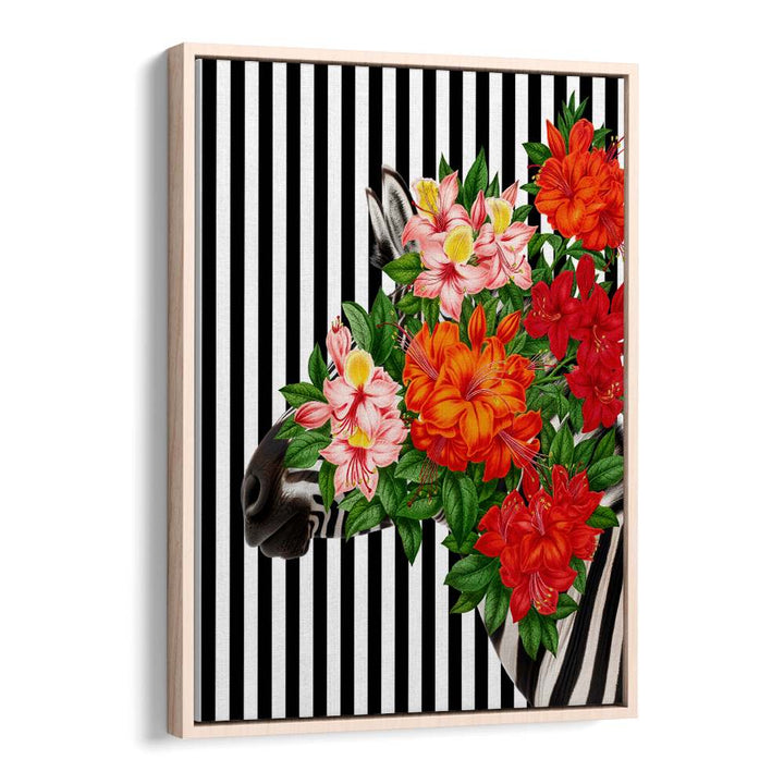TROPICAL ZEBRA BLOOM