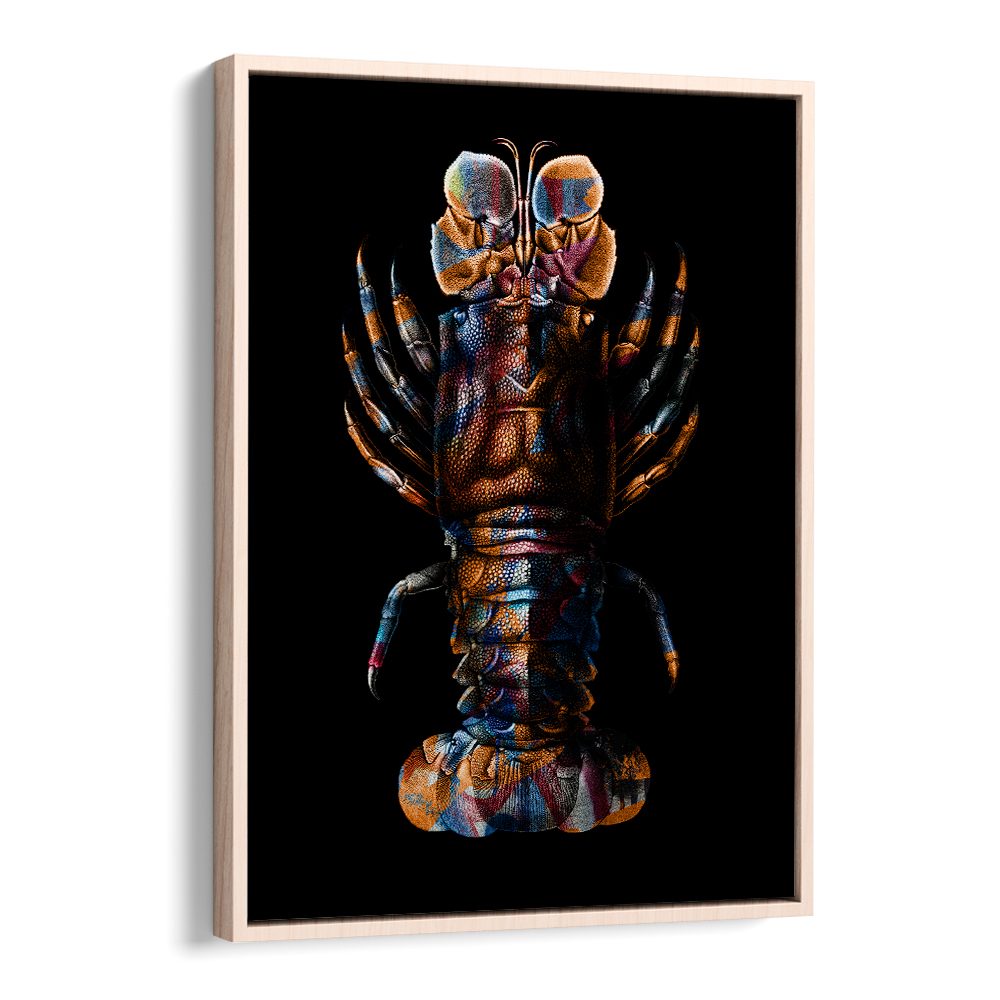 VIBRANT SPINY LOBSTER