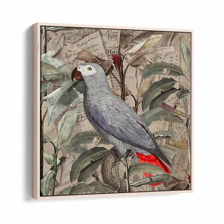 VINTAGE TROPICAL GREY PARROT