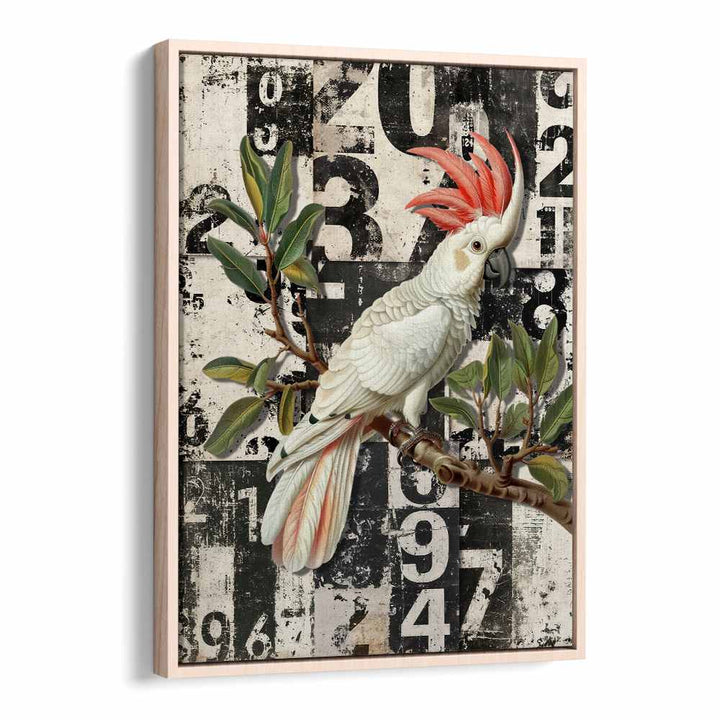 WHITE COCKATOO GRUNGE NUMBERS