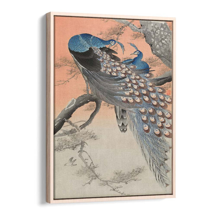 TWO PEACOCKS ON TREE BRANCH (1900 - 1930) , JAPANESE PAINTINGS , JAPANESE ART PRINTS