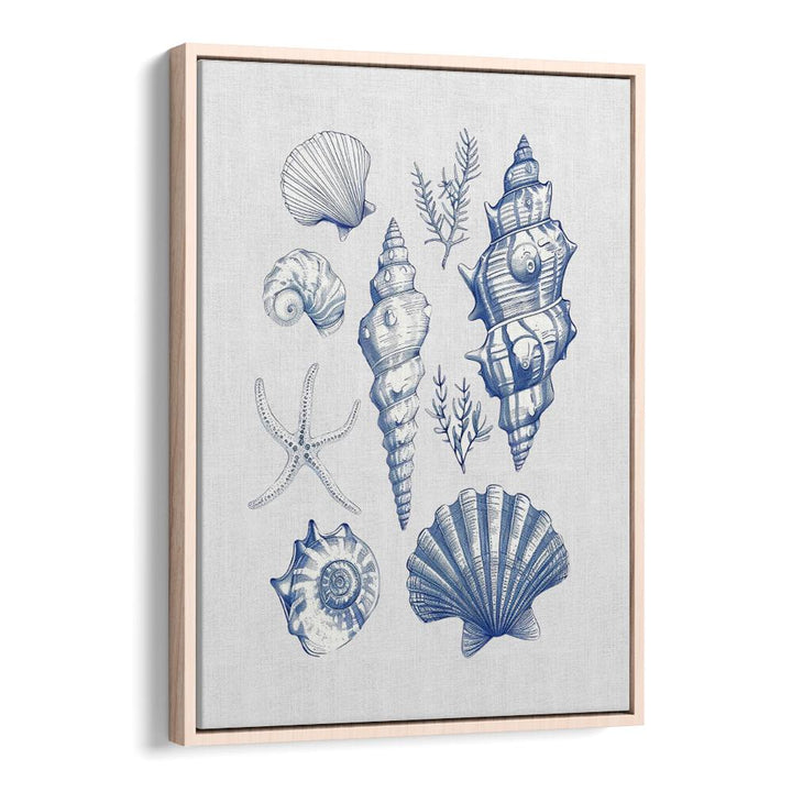 SHELL COLLAGE, BEACH PAINTINGS showcase a vibrant display of seashells, perfect for a coastal-inspired home decor.