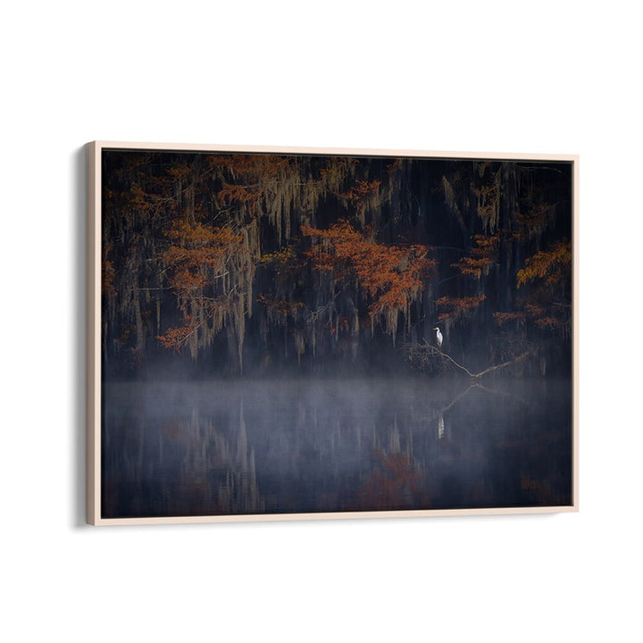 Serene "Misty Morning" photography prints showcase tranquil foggy landscapes, perfect for nature lovers.