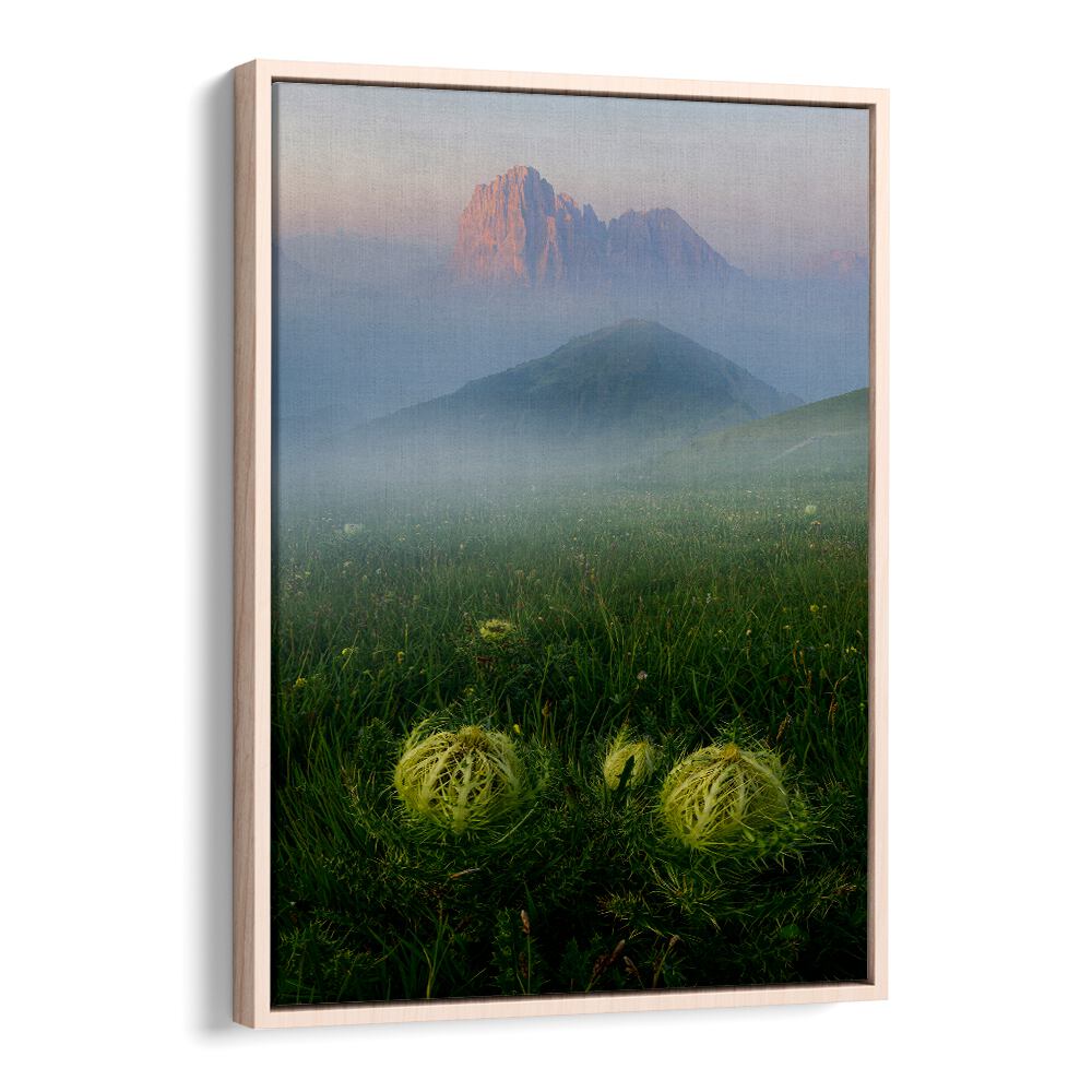 PROTECTION OF THE ALPS , LANDSCAPE PHOTO PRINTS