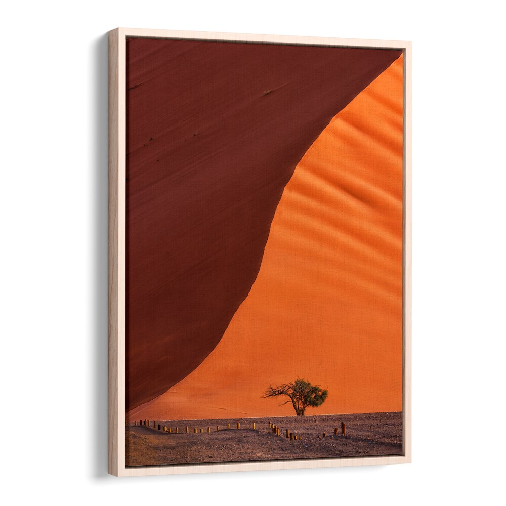 Stunning DUNE 45 photography prints showcasing vibrant desert landscapes and unique textures for your decor.