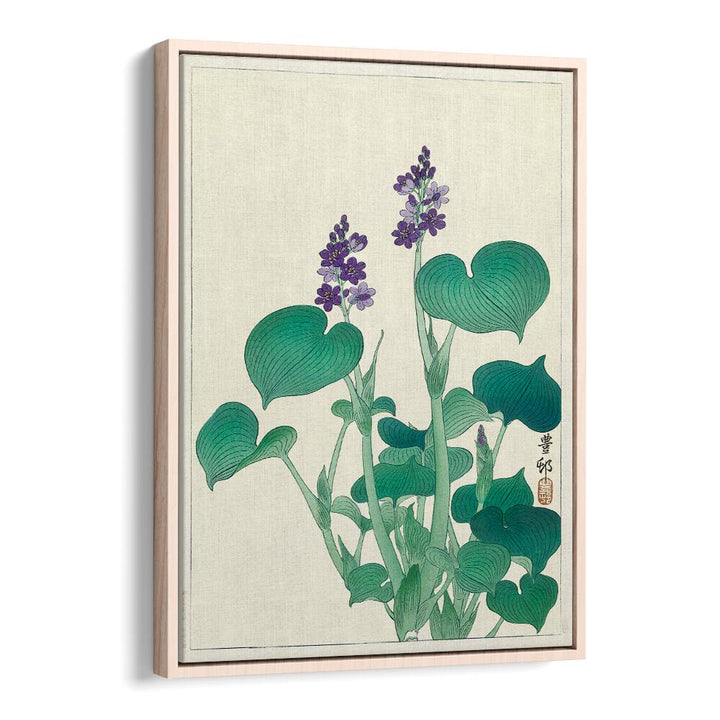 BLOOMING HOSTA (1920 - 1930)  , JAPANESE PAINTINGS , JAPANESE ART PRINTS