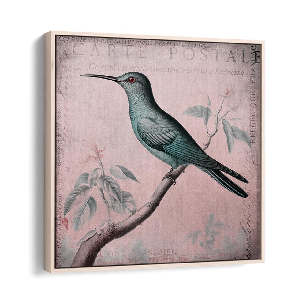 HUMMINGBIRD ROMANCE PASTEL PINK II BY ANDREA HAASE , WILDLIFE POSTERS, WILDLIFE PAINTINGS