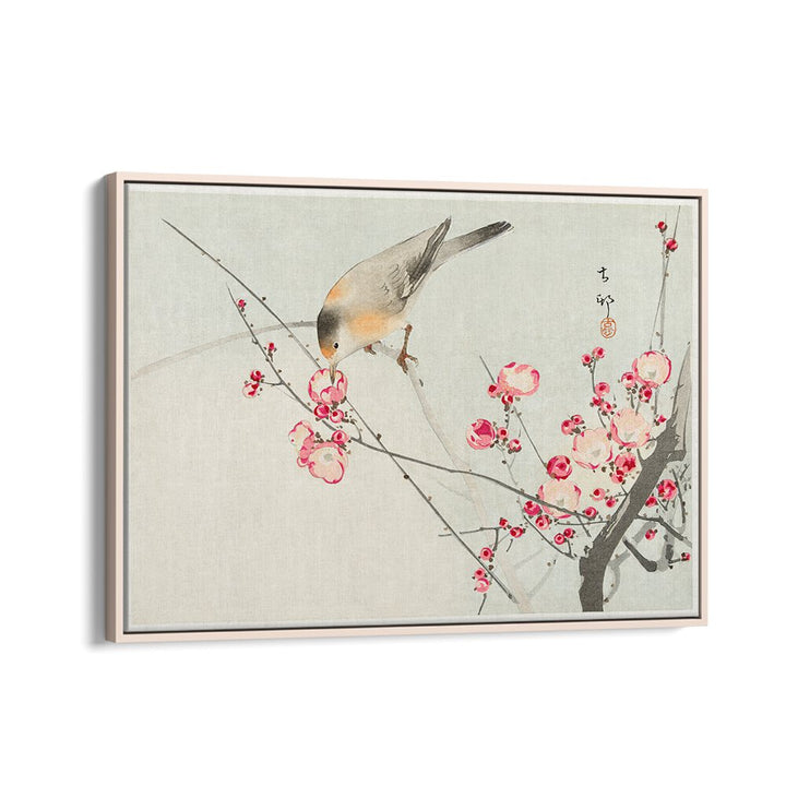 SONGBIRD ON BLOSSOM BRANCH (1900 - 1936)  , JAPANESE PAINTINGS , JAPANESE ART PRINTS