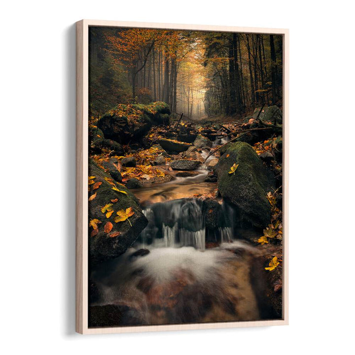 DREAMY AUTUMN BY STEFAN HEFELE , LANDSCAPE PHOTO PRINTS