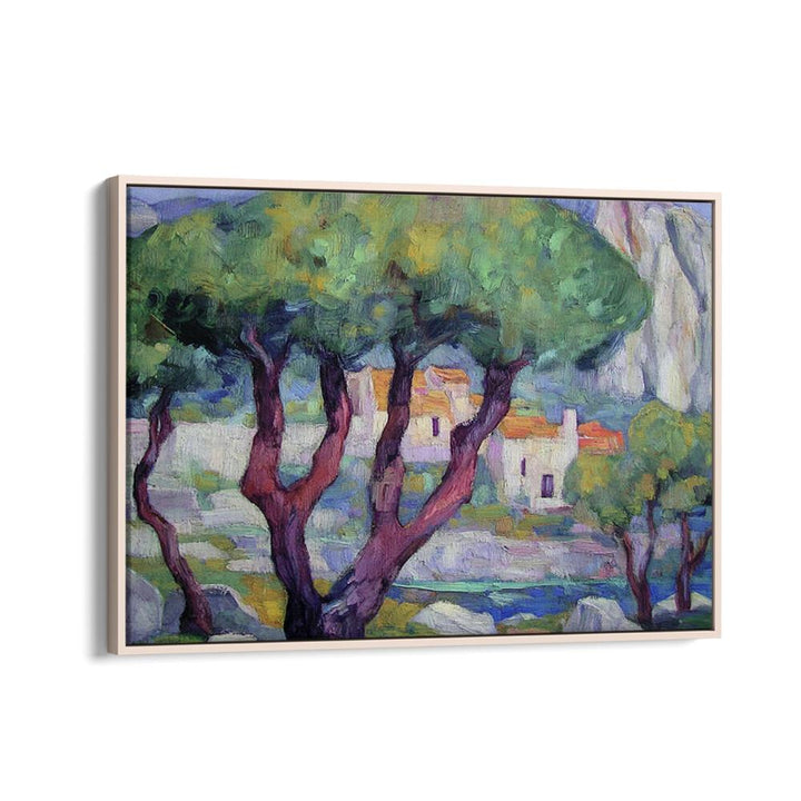 Cypress trees in the mountains, showcasing serene beauty and elegance for landscape enthusiasts. Perfect for nature lovers.