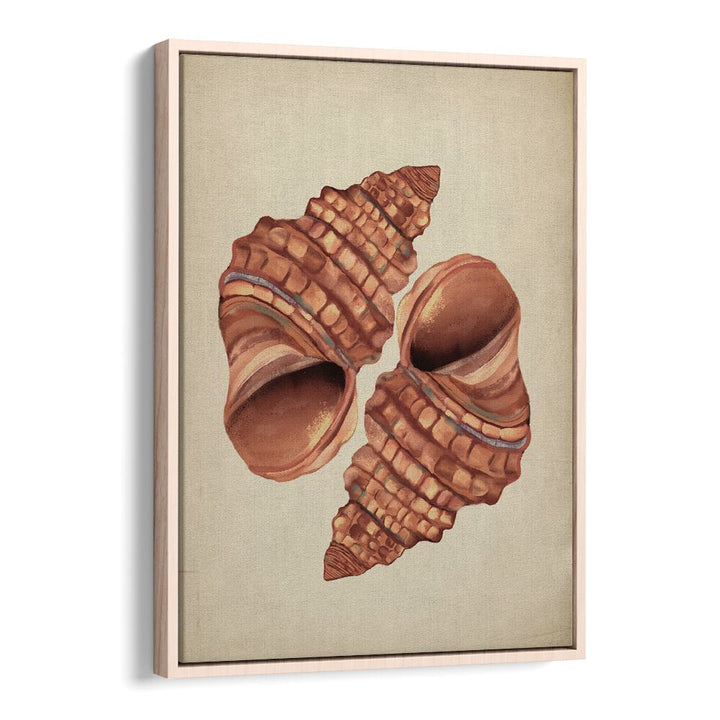Seashell Vintage, Beach Paintings showcase stunning seashell art, perfect for coastal home décor.