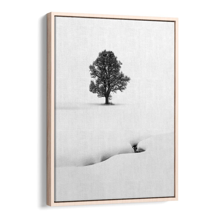 LE SOLITAIRE BY MARC PELISSIER , LANDSCAPE PHOTO PRINTS