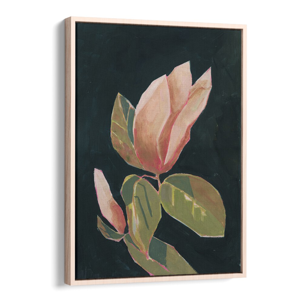 MAGNOLIA IN DARK BACKGROUND