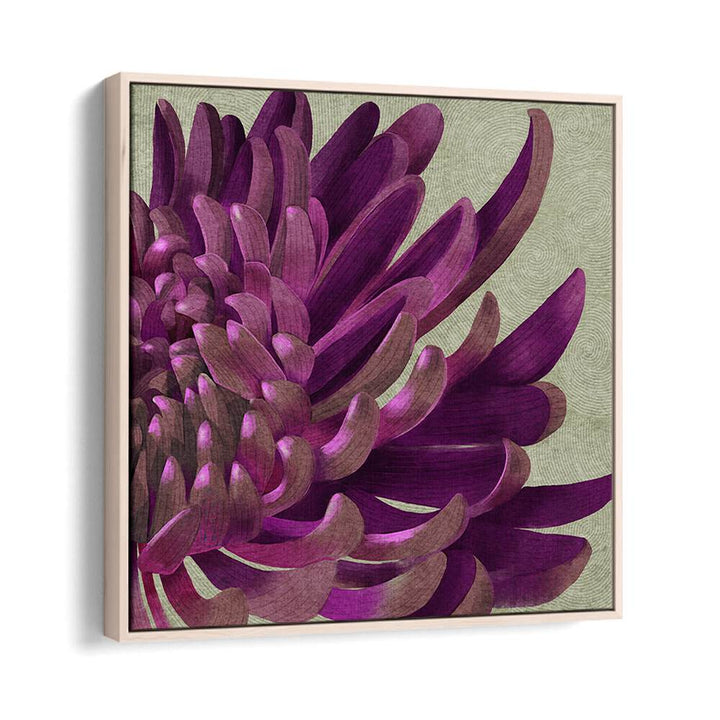 Vibrant CHRYSANTHEMUM PURPLE, FLORAL FLOWER PAINTINGS enhance your home with rich hues and stunning artistry.