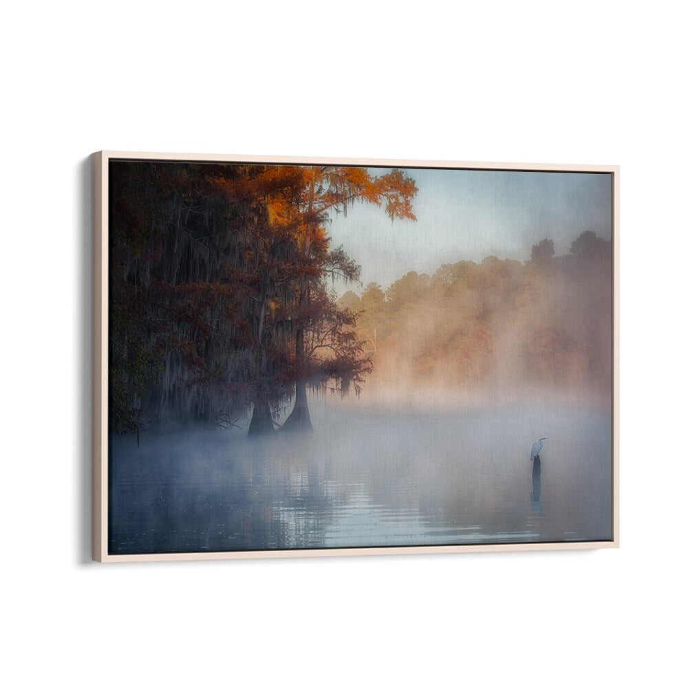 A TRANQUIL MORNING AT CADDO LAKE BY MICHAEL ZHENG , LANDSCAPE PHOTO PRINTS