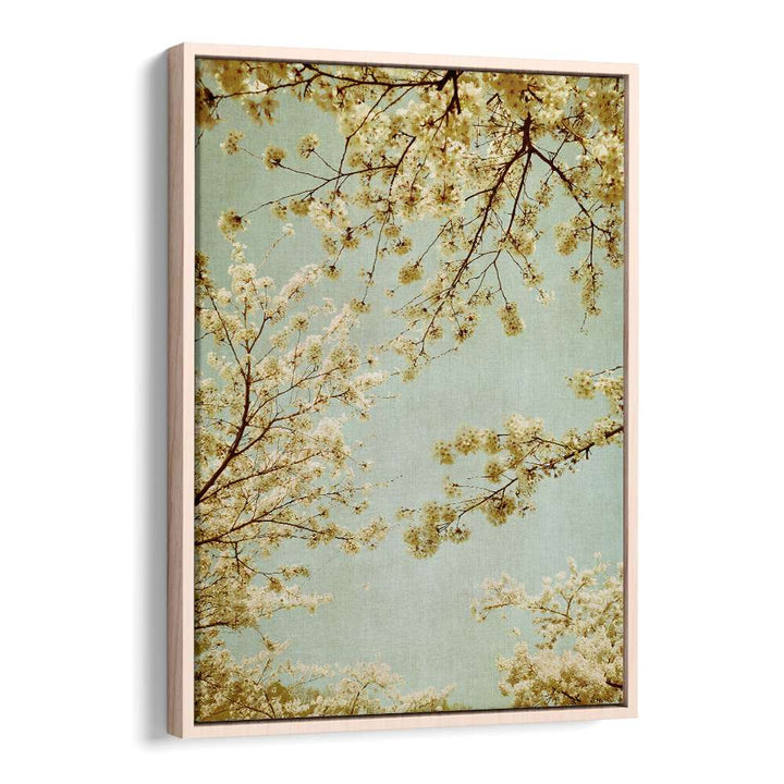 Delicate cherry blossoms grace the VINTAGE SKY, FLORAL FLOWER PAINTINGS, perfect for a spring-inspired space.