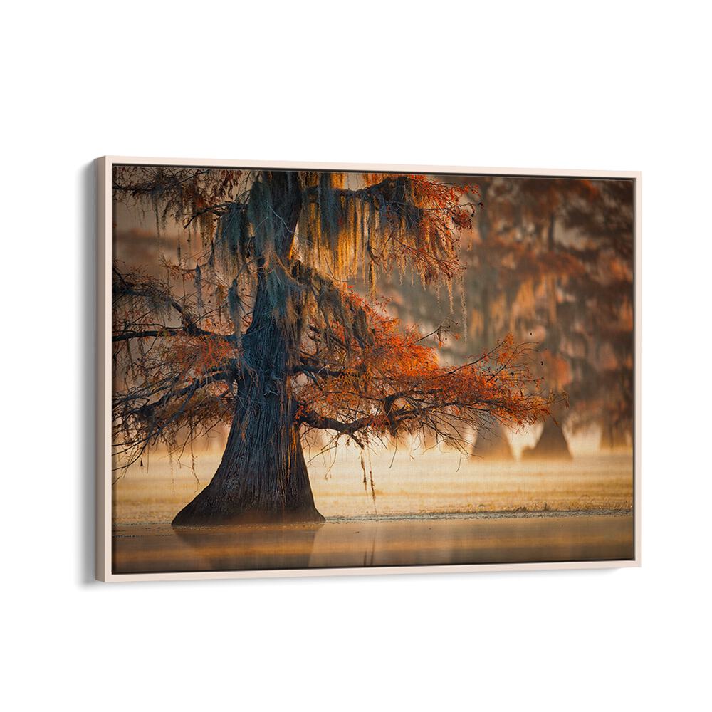 A CYPRESS IN FALL WATER BY MICHAEL ZHENG , LANDSCAPE PHOTO PRINTS