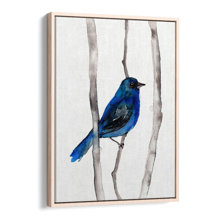 INDIGO BUNTING , ANIMAL PAINTINGS
