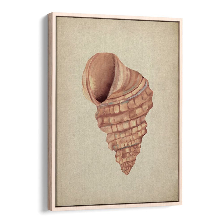 PINK SEASHELLS, BEACH PAINTINGS showcase stunning seashell art, perfect for enhancing your coastal decor.