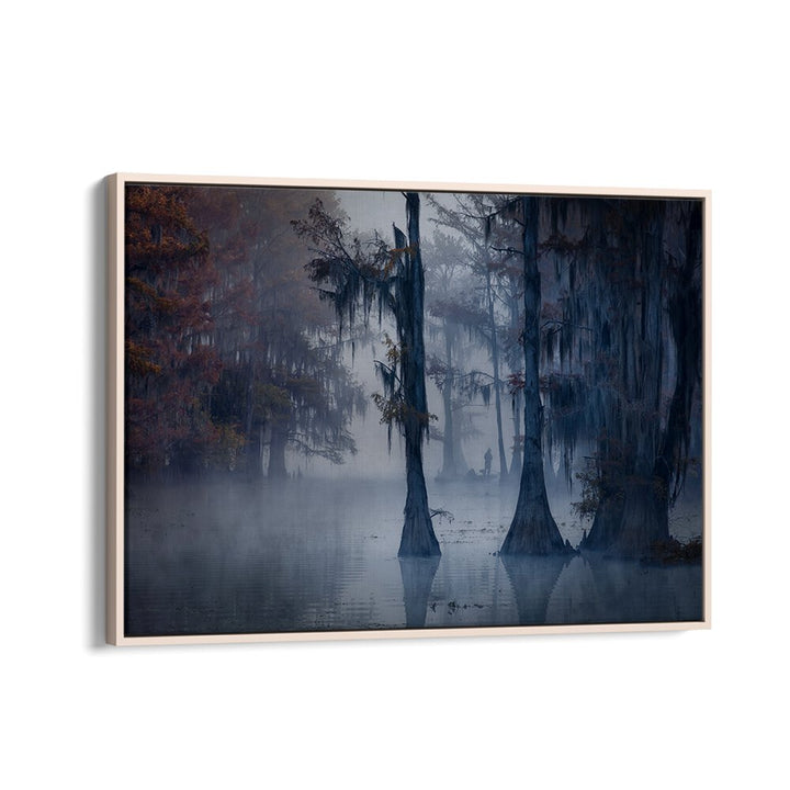 HAUNTED FOREST BY MICHAEL ZHENG , LANDSCAPE PHOTO PRINTS